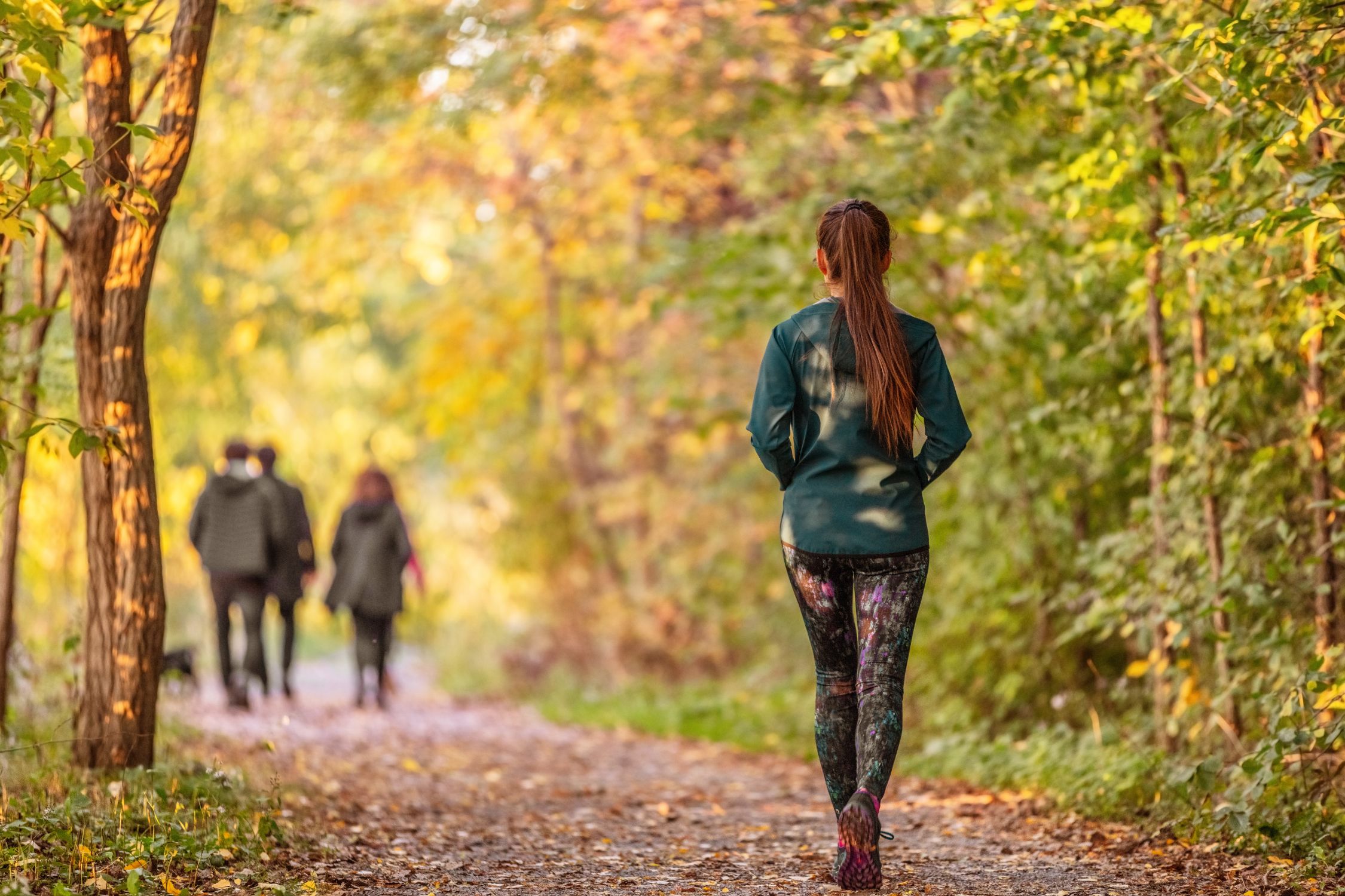Mehrere Menschen gehen im Wald spazieren, regelmäßige Bewegung dient der Stressprävantion bei Rosacea