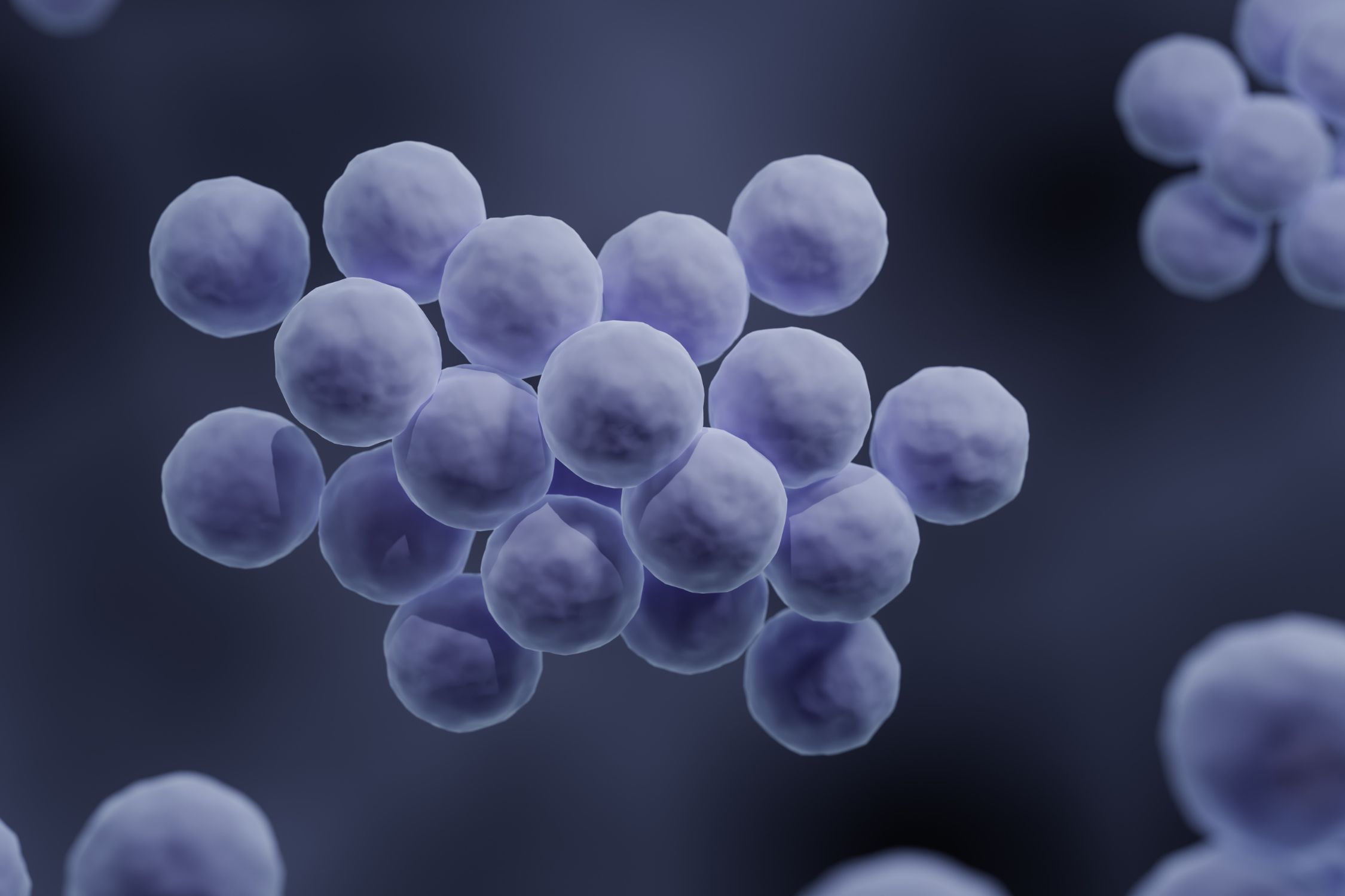 Staphylococcus aureus Bakterien besiedeln bei Neurodermitis vermehrt die Haut
